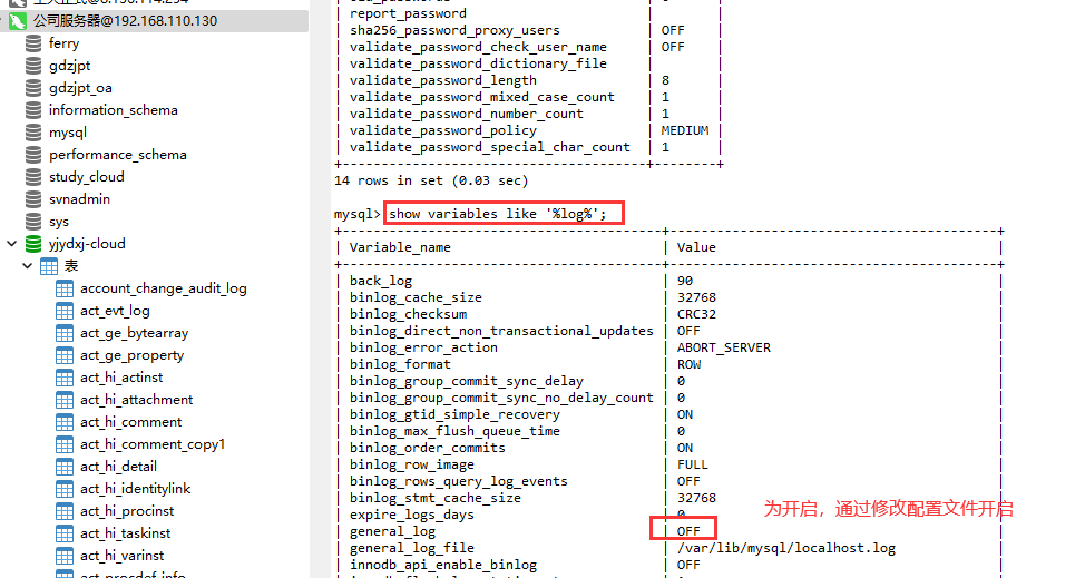 image-20240428183330245