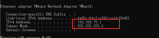 image-20240722112931874